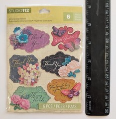 Thank You Themed Scrapbooking Stickers By Studio 112 K&Company RARE