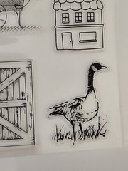 Flower Cart Goose Barn Door House Dragonfly Clear Cling Stamps