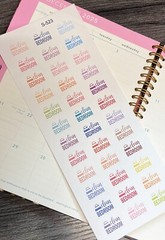 Laundry,Home Cleaning, bathroom,Floor :Handmake Erin Condren Planner Sticker