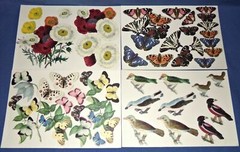 Anna Griffin Antique Botanical Die Cuts 96 pcs w/Foam Adhesive Free Priorityship
