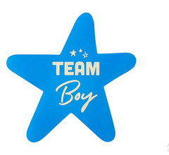 Team Boy or Team Girl Gender Reveal Stickers, 40 Pieces, by Way To Celebrate