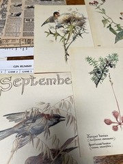 Vintage Ephemera Huge Lot- 110 +unique Items For Junk Journaling & Mixed Media*