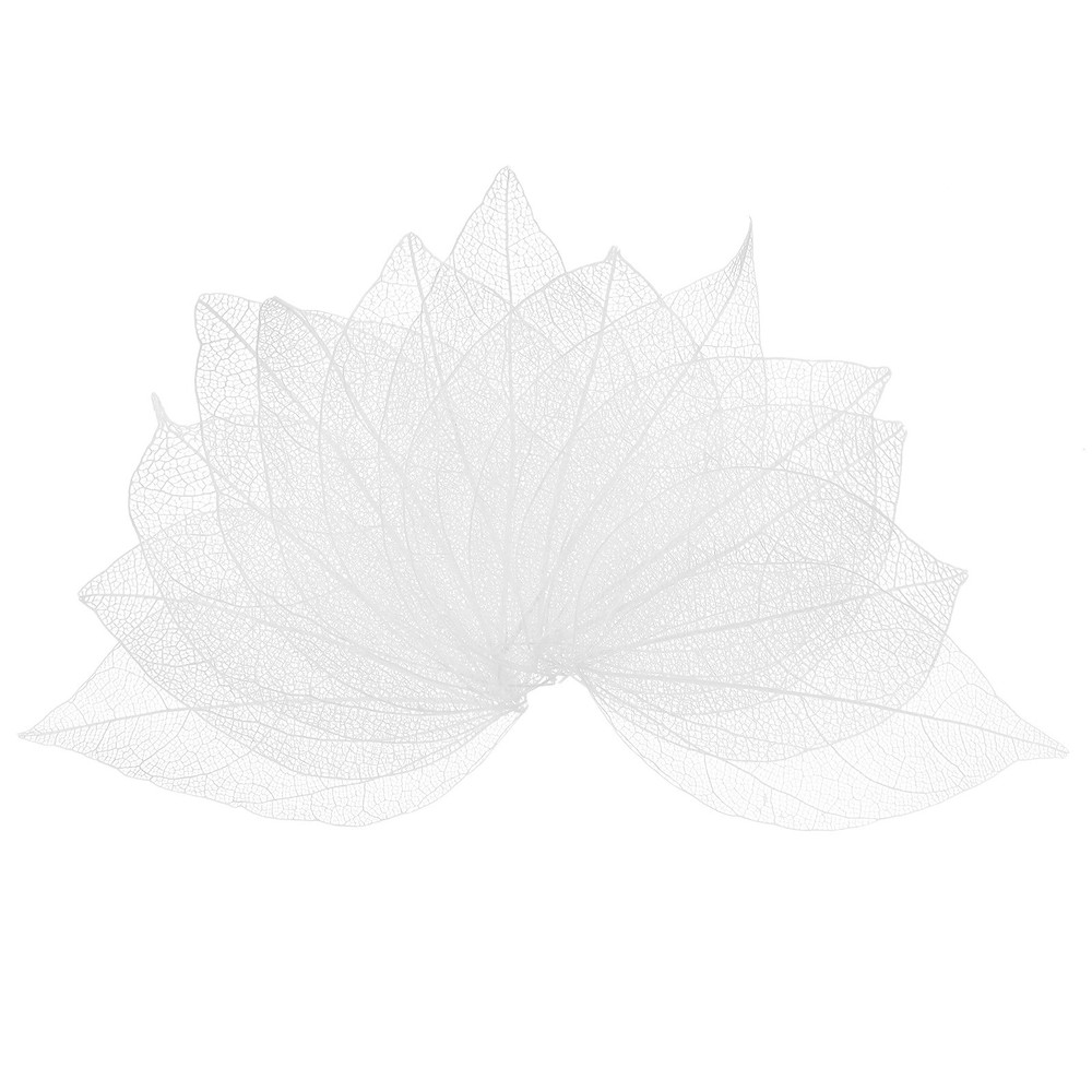 100-Pack Skeleton Leaves, Natural Rubber Tree Leaves Vein[4-6cm, White]