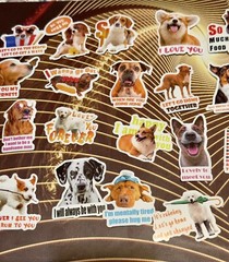 50 Pieces Bundle Pack Dog Theme Stickers Decal High Glossy Finish