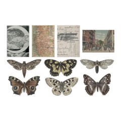 Tim Holtz Idea-Ology Transparent Things Acetate TH94241 Elements Winged 10 pcs.