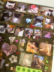Cat Sticker Book, 30 Pages Over 800 Cute Die Cut Stickers with 3 Style 1