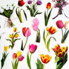 Tulip Stem Stickers Spring Easter Junk Journal Collage Scrapbooking