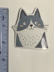 Cute Gray And White Cat Sticker, 2.25 Inch, Glossy Vinyl, Die Cut, 0013i