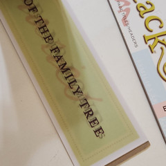 NEW Lot 3 DCWV Color Vellum Title Stacks FAMILY BABY GIRL BOY Headers 75 ct -G