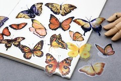 yellow butterfly sticker | yellow black butterfly beautiful themed PET