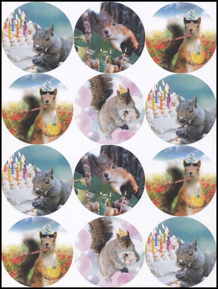 Stickers – Squirrel – CL060
