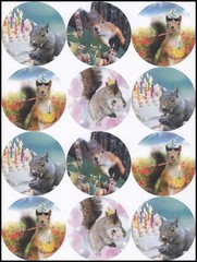 Stickers – Squirrel – CL060