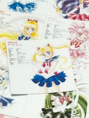 Sailor Moon #3, 11 pcs, stickers, waterproof, kawaii, Character