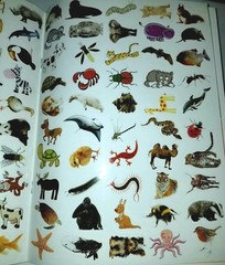 Lots Of Animals Big & Small. Sticker Book My First Book Of Stickers. 100 Sticker