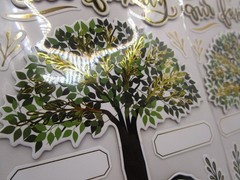 2 PACK Die-Cut Dimensional & Foil Accent Scrapbook Sticker Pack Our Family Tree
