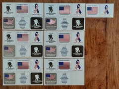 WWP DAV USA American Flag Warriors Red White Blue Patriotic Stickers Lot of 70