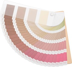 Sun-Star Stationery Sticker Color Sample Book Style Iromekuri Chocolate S8583790