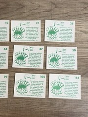 Lot of 12 1995 Diamond Mattel Street Sharks Sticker Cards Rare VTG Collection