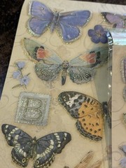 Butterflies Scrapbook Stickers & Rub On Transfers Lot