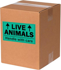Remarkable Live Animals Please Handle with Care Stickers,2 X 3 Inch Fluorescent