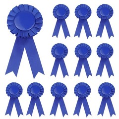Blank Award Ribbon 12 Pieces Blue 1st 2nd 3rd Place Rosette for Competition