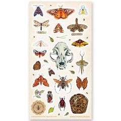 Nature Study Stickers – Animal Skull, Moths, & Insects Sticker Sheet