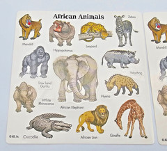 VTG AGC African Animal Stickers Wildlife Safari Elephant Leopard Zebra Gorilla