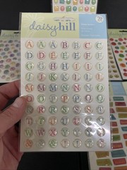 Daisy Hill Alphabet Dome Stickers Lot Of 13 Packages NEW