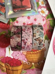 Red Ultimate Mega Scholastic Book Fair Pencil Case Stickers Erasers 1990s 2000 1