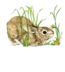 12 CUTE Linda K Powell 1 1/2″ x 1 1/4″ BUNNY RABBIT STICKERS USA MADE #61