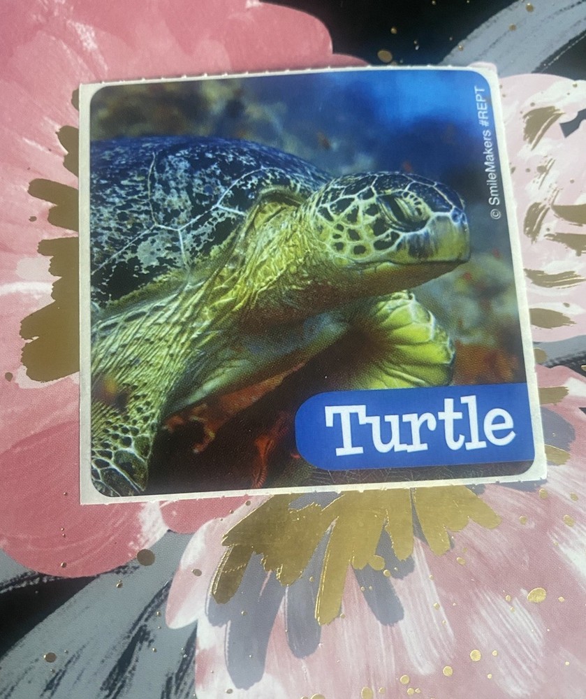 SmileMakers Turtle Sticker Mod 2.5” Inches