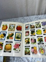 Flower and Vegetable Seed Packet Stickers 2001 plus extras Anna Samuel