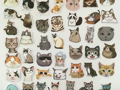 50 Pcs Cat Stickers Kitty Animal Cute Sticker Kids Boys Girls