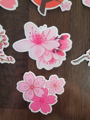 STICKERS x 10 Flowers Pink Cherry Blossom Orchid Tree Sticker CHE4