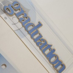 NEW Lot 2 Pkg Lil Davis Vintage Wood Words GRADUATION Congrats Diploma -G