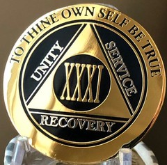 31 Year AA Medallion Elegant Black Gold Silver Sobriety Chip XXXI Coin Token