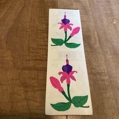 ~Mrs. Grossman’s ~Fuchsia