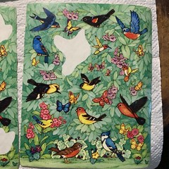 Vintage Bird 3 Sticker Sheet With Missing Pieces