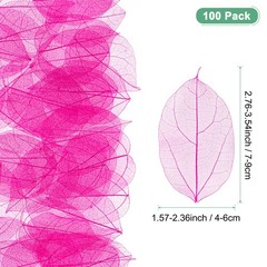 100-Pack Skeleton Leaves, Natural Rubber Tree Leaves Vein[7-9cm, Rose Red]