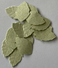 LIGHT GREEN ROSE LEAF Die-cut Embellishment(20pc)Jolee’s•Flower•Garden•Long Stem