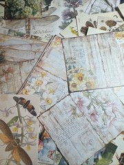 200+ cottage core mystical forest kit Lot Junk Journal Ephemera