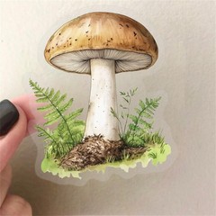 50PCS Retro Mushroom Stickers PET Transparent Nature Decals