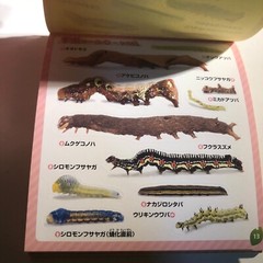 Japanese Caterpillar Stickers book 250 Stickers Shogakkan NEO