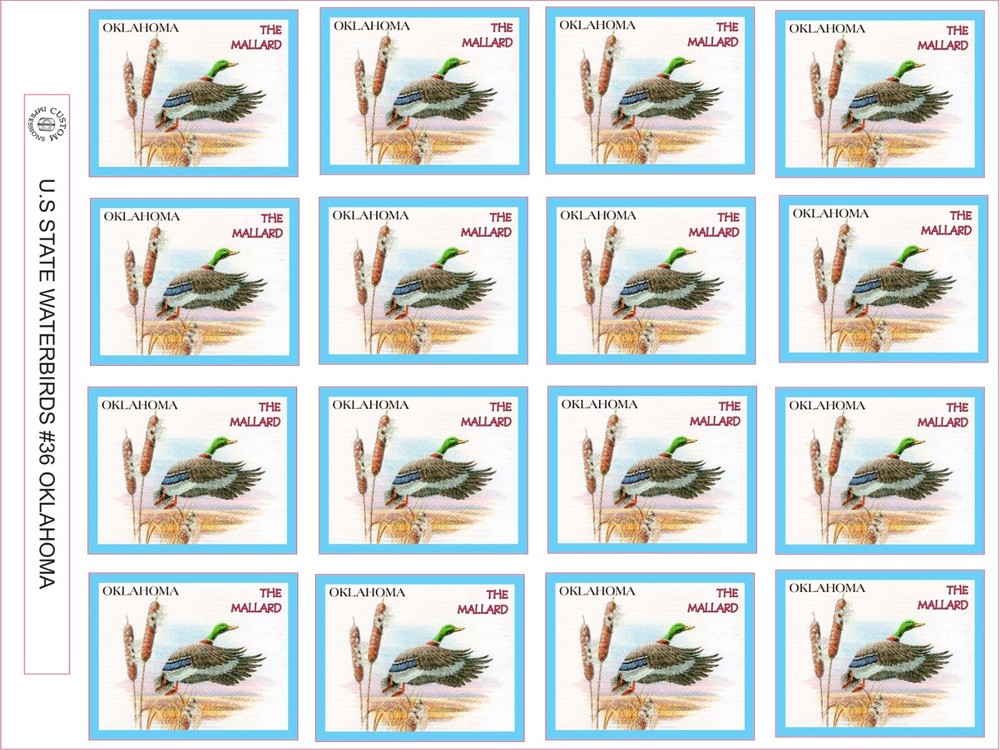 OKLAHOMA STATE WATERBIRD – THE MALLARD – 12 PER SHEET