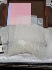 Mixed Scrapbooking Junk Journal Shadow Box Lot 6- Cardstock, Stamps, Vellum