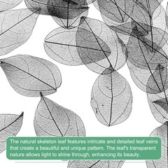 100-Pack Skeleton Leaves, Natural Rubber Tree Leaves Vein[4-6cm, Black]