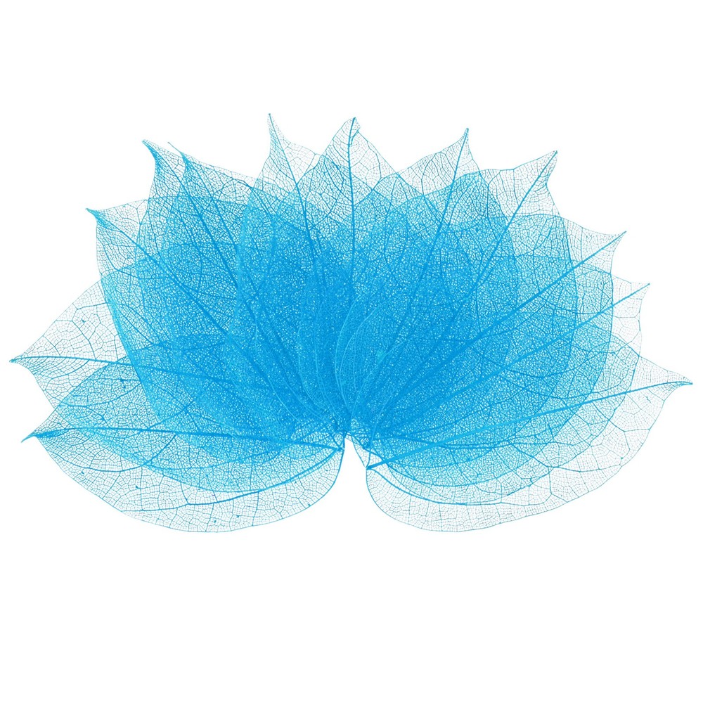 100-Pack Skeleton Leaves, Natural Rubber Tree Leaves Vein[7-9cm, Blue]