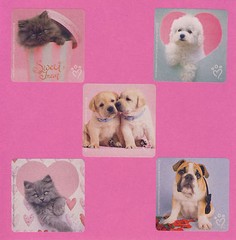15 Rachael Hale Cats and Dogs Assorted – Large Stickers – Puppies, Kittens