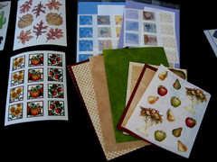 Photo Mounting Paper, Rainbow, Ocean, Winter Stickers Autumn, Cactus, Rodeo