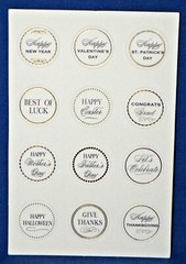 Anna Griffin Mini Sentiments Sticker Everyday & Holiday 288 pc Themed Sentiments